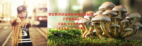 MDMA Premium VHQ Михайлов