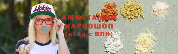 ГАЛЛЮЦИНОГЕННЫЕ ГРИБЫ Богданович