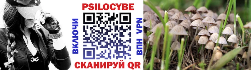 Псилоцибиновые грибы Magic Shrooms  Алексеевка 