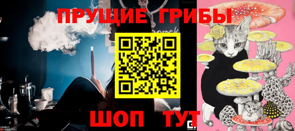 Гашиш Алексеевка