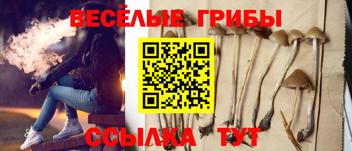 где продают наркотики  Алексеевка  Галлюциногенные грибы мухоморы 
