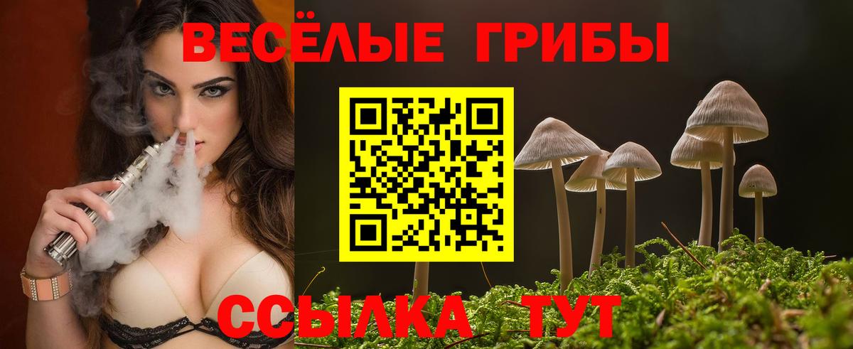 Псилоцибиновые грибы Psilocybe Алексеевка