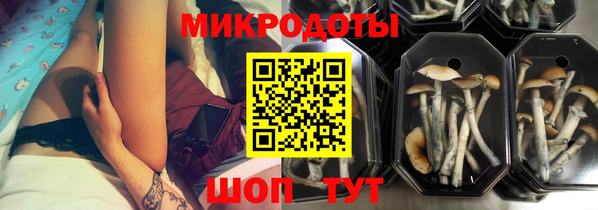 Галлюциногенные грибы Psilocybine cubensis Алексеевка