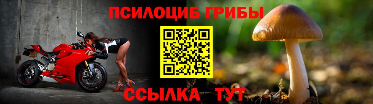 продажа наркотиков  Галлюциногенные грибы Cubensis  Вход с VPN  Алексеевка  Псилоцибиновые грибы ЛСД 